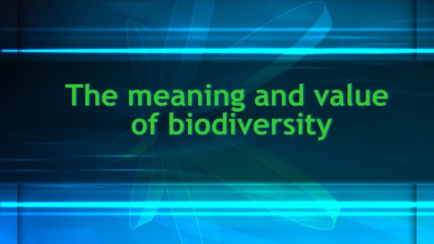 The meaning & value of biodiversity